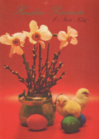 EASTER CHICKEN EGG Vintage Postcard CPSM #PBO755.GB - Ostern