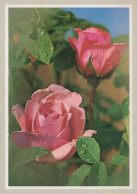 FLEURS Vintage Carte Postale CPSM #PAS122.FR - Flowers