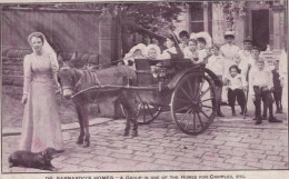 ÂNE Animaux Enfants Vintage Antique CPA Carte Postale #PAA191.FR - Donkeys