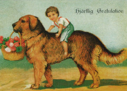 CHIEN Animaux Vintage Carte Postale CPSM #PBQ468.FR - Hunde