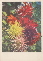 FLORES Vintage Tarjeta Postal CPSM #PAR695.ES - Blumen