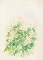 FLORES Vintage Tarjeta Postal CPSM #PAR455.ES - Flowers