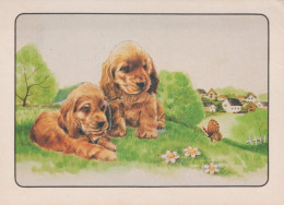 PERRO Animales Vintage Tarjeta Postal CPSM #PAN509.ES - Hunde
