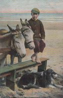ÂNE Animaux Vintage Antique CPA Carte Postale #PAA277.FR - Donkeys