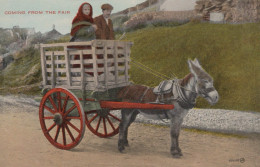 ÂNE Animaux Vintage Antique CPA Carte Postale #PAA199.FR - Donkeys