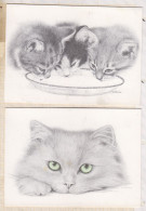 24E61 CHATS CHAT CAT  Illustrateur VIRGINIA MILLER Lot De 2 Cartes 18X13 - Cats