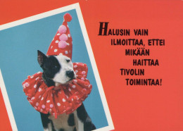 CHIEN Animaux Vintage Carte Postale CPSM #PBQ410.FR - Dogs