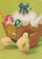 PÂQUES POULET ŒUF Vintage Carte Postale CPSM #PBO635.FR - Ostern