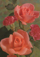 FLOWERS Vintage Ansichtskarte Postkarte CPSM #PAS058.DE - Bloemen