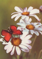 FLOWERS Vintage Ansichtskarte Postkarte CPSM #PAR577.DE - Flowers