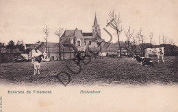 Postkaart - Carte Postale - Hakendover - Environs De Tirlemont  (C6117) - Tienen