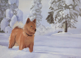 HUND Tier Vintage Ansichtskarte Postkarte CPSM #PAN709.DE - Dogs