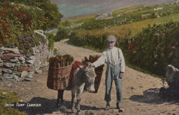 BURRO Animales Niños Vintage Antiguo CPA Tarjeta Postal #PAA008.ES - Donkeys