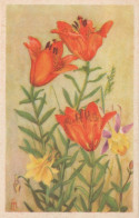 FLORES Vintage Tarjeta Postal CPSMPF #PKG001.ES - Blumen