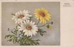 FLORES Vintage Tarjeta Postal CPA #PKE517.ES - Flowers