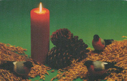 Feliz Año Navidad VELA Vintage Tarjeta Postal CPSMPF #PKG121.ES - Neujahr