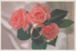 FLORES Vintage Tarjeta Postal CPSM #PBZ163.ES - Flowers