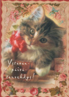 GATO GATITO Animales Vintage Tarjeta Postal CPSM #PBQ921.ES - Cats