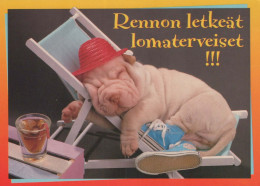 PERRO Animales Vintage Tarjeta Postal CPSM #PBQ401.ES - Hunde