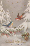 Neujahr Weihnachten VOGEL Vintage Ansichtskarte Postkarte CPA #PKE828.DE - New Year