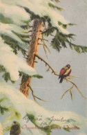 Neujahr Weihnachten VOGEL Vintage Ansichtskarte Postkarte CPSMPF #PKD748.DE - Neujahr