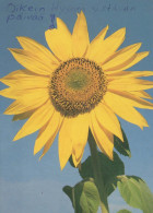 FLOWERS Vintage Ansichtskarte Postkarte CPSM #PBZ829.DE - Flowers