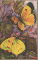 SCHMETTERLINGE Vintage Ansichtskarte Postkarte CPSM #PBZ949.DE - Butterflies