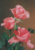 FLOWERS Vintage Ansichtskarte Postkarte CPSM #PBZ645.DE - Blumen