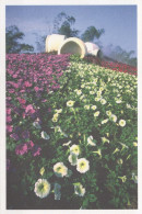 FLOWERS Vintage Ansichtskarte Postkarte CPSM #PBZ044.DE - Bloemen