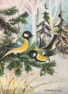 VOGEL Tier Vintage Ansichtskarte Postkarte CPSM #PBR514.DE - Birds