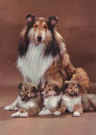 HUND Tier Vintage Ansichtskarte Postkarte CPSM #PBQ403.DE - Hunde