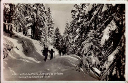 LE COL DE PORTE   ( ISERE ) CARAVANE DE SKIEURS MONTANT AU CHARMANT-SOM - Sonstige & Ohne Zuordnung