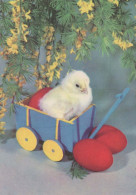 OSTERN HUHN EI Vintage Ansichtskarte Postkarte CPSM #PBP009.DE - Ostern