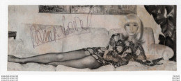 N°1437  SIGNATURE    DE DANY SAVAL  6X16 Cm - Other & Unclassified