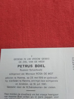 Doodsprentje Petrus Boel / Hamme 25/5/1919 - 16/7/1981 ( Rosa De Mot ) - Religion & Esotérisme