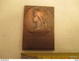 Medaille En Bronze Concour De Gymnastique 1913   5 Cm Sur 3 Cm 5   Tb état - France