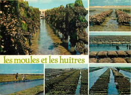 Metiers - Ostréiculteur - Les Moules Et Les Huitres - Multivues - CPM - Voir Scans Recto-Verso - Fishing