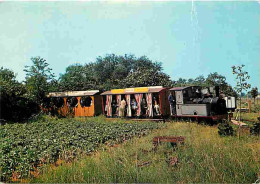 Trains - Musée Des Transports De Pithiviers - Le Train à Vapeur Sortant Du Bois De Béllébat - CPM - Voir Scans Recto-Ver - Trenes