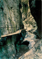 66 - Arles Sur Tech - Les Gorges De La Fou - CPM - Voir Scans Recto-Verso - Other & Unclassified