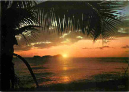 Antilles - Oucher De Soleil - CPM - Voir Scans Recto-Verso - Other & Unclassified