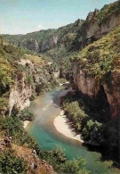 48 - Les Gorges Du Tarn - Les Détroits - CPM - Voir Scans Recto-Verso - Gorges Du Tarn