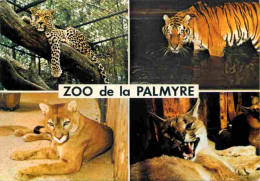 Animaux - Fauves - Zoo De La Palmyre - Multivues - Panthère - Tigre - Puma - Caracal - CPM - Flamme Postale De Luxeuil L - Other & Unclassified