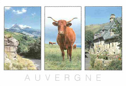 Animaux - Vaches - Auvergne - Multivues - CPM - Voir Scans Recto-Verso - Vaches
