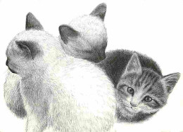 Animaux - Chats - Dessin - CPM - Voir Scans Recto-Verso - Chats