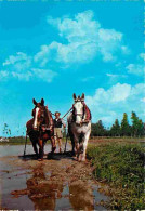Animaux - Chevaux - Italie - Paysans - Attelage De Chevaux - Carte Neuve - CPM - Voir Scans Recto-Verso - Horses