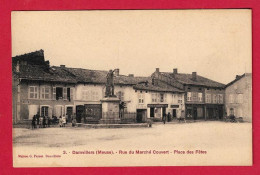 AC486  55 MEUSE DAMVILLERS RUE DU MARCHE COUVERT PLACE DES  FETES - Damvillers