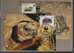 WWF Issue Michel Cat.No. Monaco 2046/2049 MC - Tarjetas – Máxima