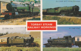 Postcard - Torbay Steam Railway Workings - 5 Views - Written On Rear But Not Posted - VG - Unclassified