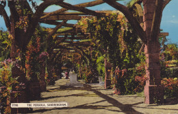 Postcard - The Pergola, Sandringham - Card No. 7798 - Posted, Date Obscured - VG (Serrated Edges) - Unclassified