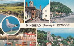 Postcard - Minehead, Gateway To Exmoor - 5 Views And A Seagull - Card No. PLC6172 - Posted, Date Obscured - VG - Unclassified